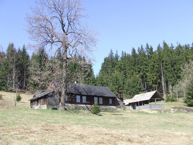 klikni
